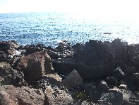 i Trezza-20110311 006